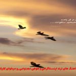 دانلود آهنگ شریک جرممی شبیه خودمی از نوان